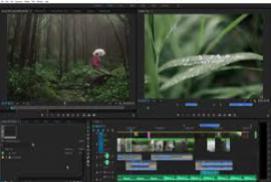 Adobe Premiere Pro